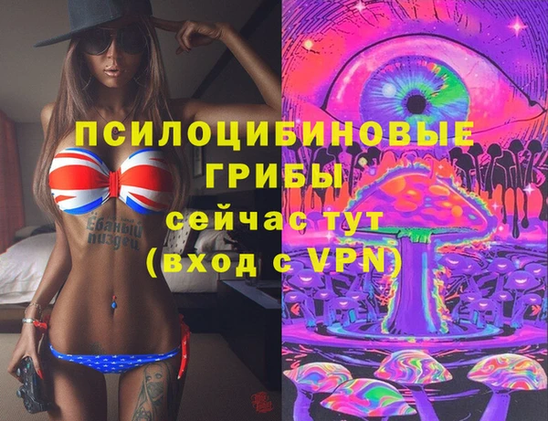 тгк Алзамай