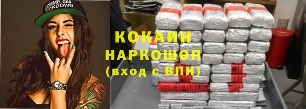 тгк Алзамай