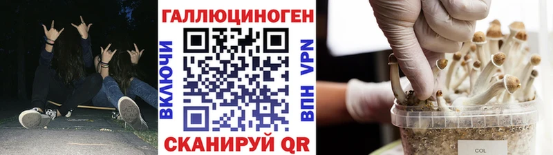 Галлюциногенные грибы Psilocybe  цены   mega маркетплейс  Новоалтайск 